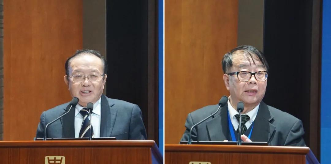 全国疫情结束时间表，展望与策略