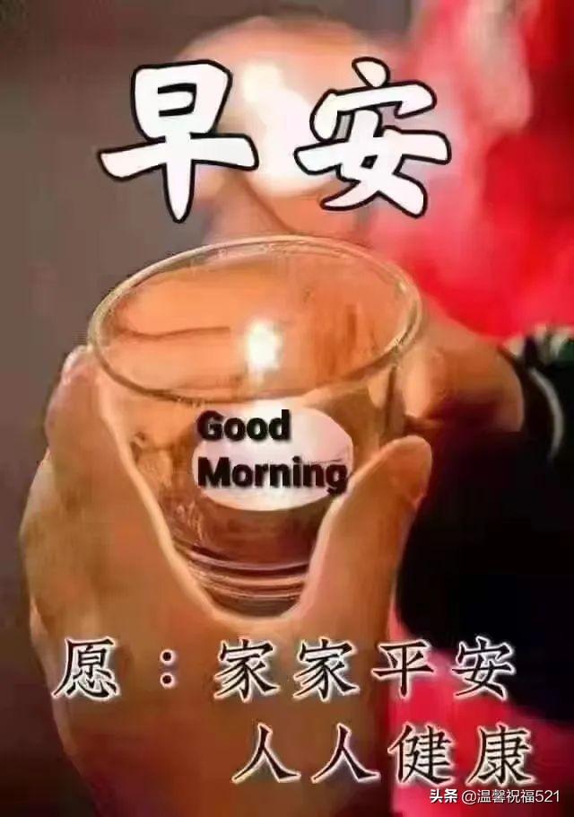 全球抗疫挑战与应对策略，国外疫情现状最新消息