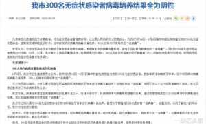 国外疫情最新消息2024，全球抗疫进展与挑战