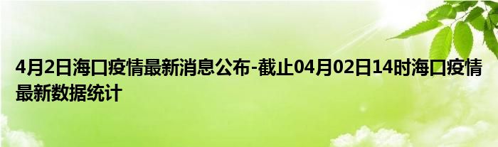 海口疫情最新动态，全面观察与分析