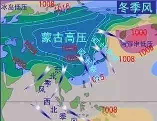 封城下的坚韧，疫情下的呼和浩特