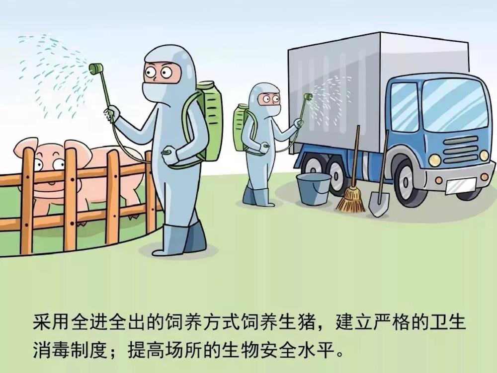 福建省最新疫情通知，科学防控，共筑安全防线