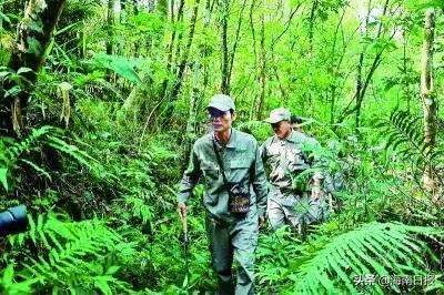 双省联动共筑防疫屏障，福建省发布疫情通知，海南省更新防疫消息