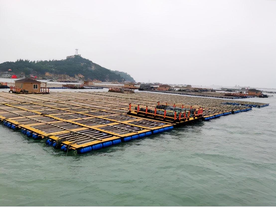 福建推动高质量发展 打造现代化经济体系