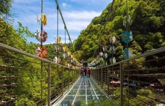 福州疫情最新动态，防控措施分析与解读