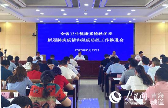 青海省疫情防控成效与挑战