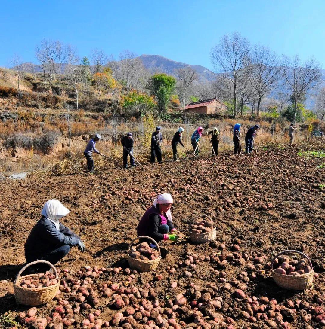福建对北京防控，精准施策下的区域协作典范