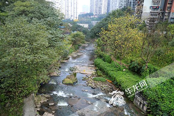 重庆，科学防控精准施策保障民生