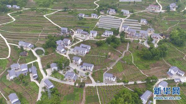 重庆，科学防控精准施策保障民生