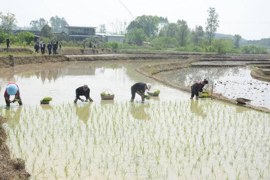 成渝两地疫情管控下的城市协同与挑战