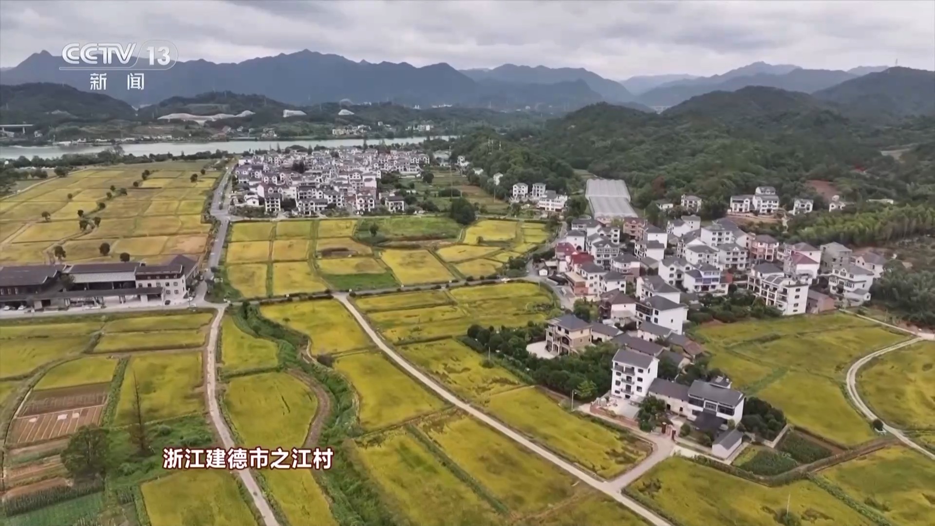 长沙县龙华村，乡村振兴的璀璨明珠