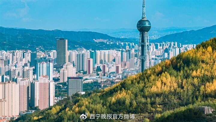 双城防疫，青海省与沈阳的协同与启示
