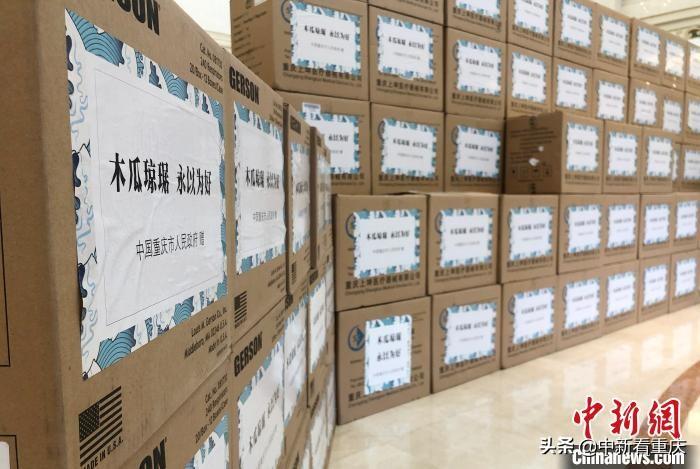 重庆疫情最新发布，共筑防疫长城，权威信息尽在政府官网