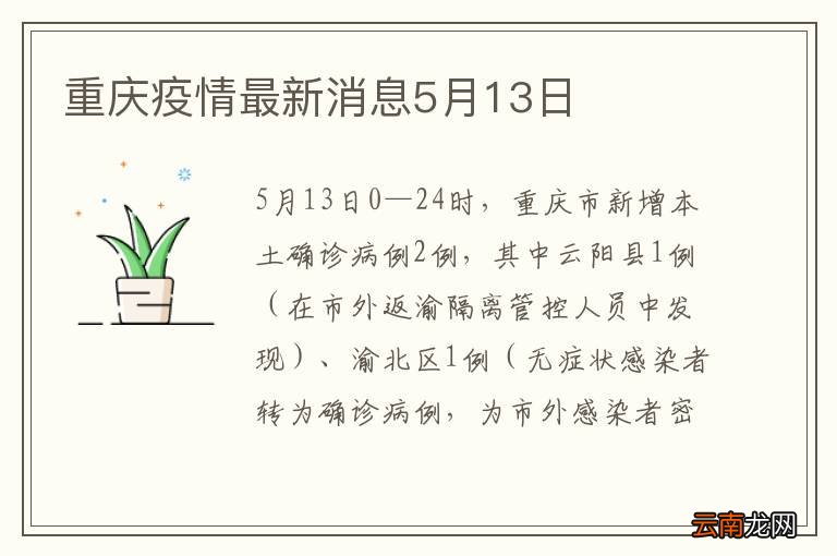 重庆市疫情最新动态及防控措施解析
