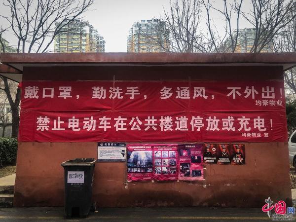 疫情下的双城记，重庆与南京展现坚韧与希望