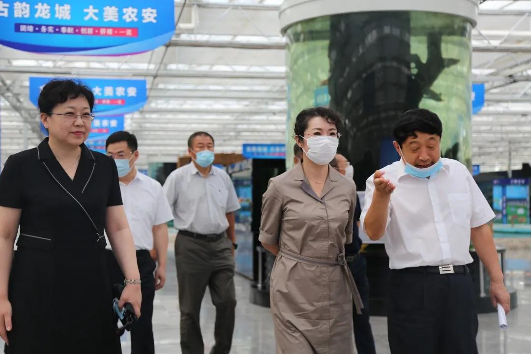 重庆长春疫情防控成效显著，经济复苏稳步前行