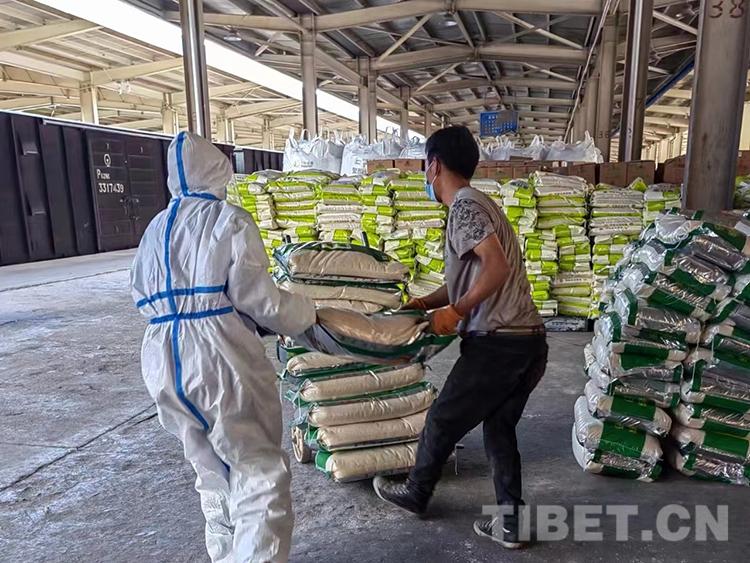 重庆、拉萨疫情防控成效显著，仍需保持警惕