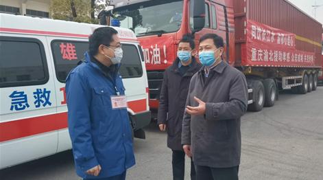 权威信息获取渠道详解，如何查看重庆市疫情公告