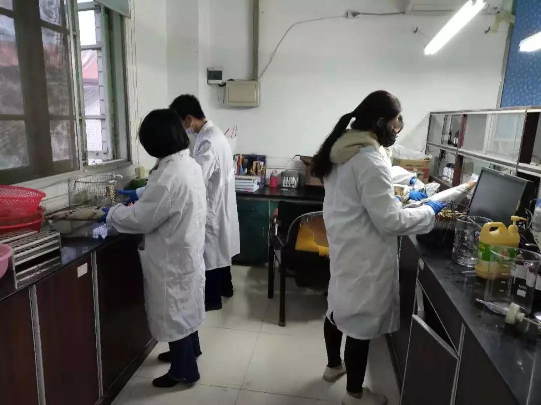 福建省疫情数据全面解析，防控策略与成效