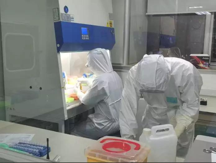 重庆地区疫情等级动态分析与防控策略