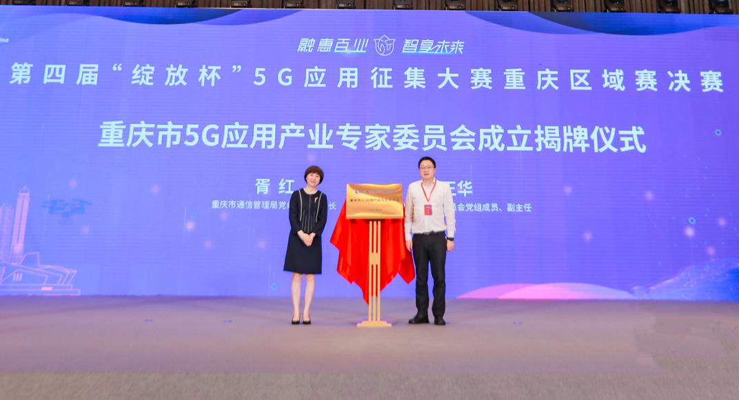 重庆疫情挑战，城市韧性考验与应对策略