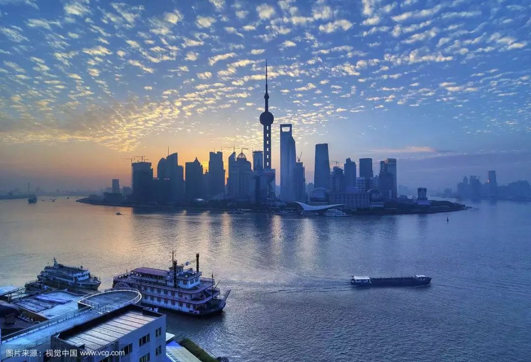 上海抗议事件，城市情绪与治理挑战的交织
