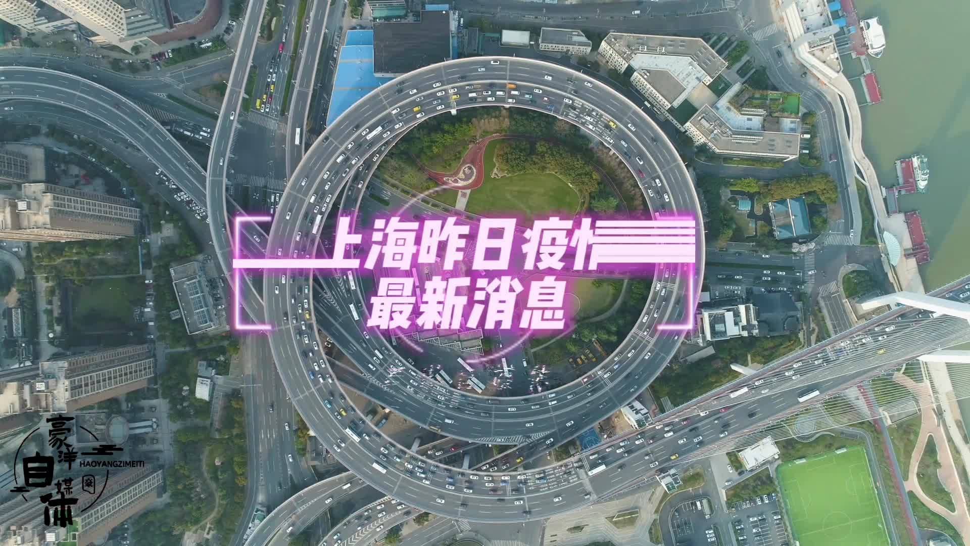24号上海疫情最新动态，全面分析与最新消息