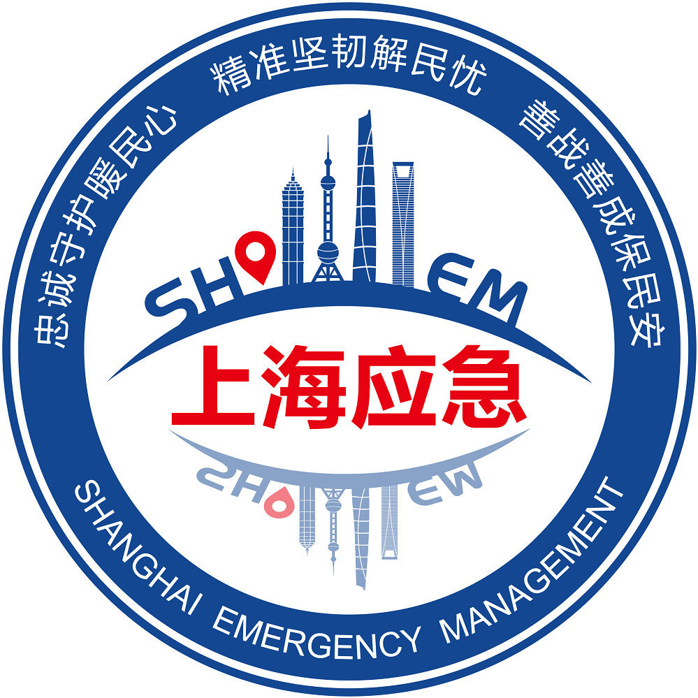 上海突发事件应对，城市挑战与应对策略