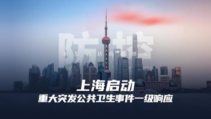 上海突发事件应对，城市挑战与应对策略