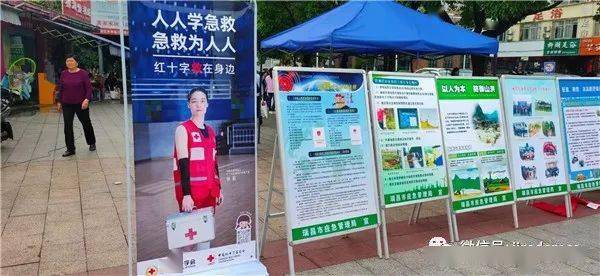 上海昆明疫情，城市间的挑战与应对策略