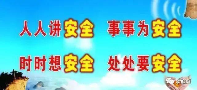 上海传染病大爆发，历史、影响与反思