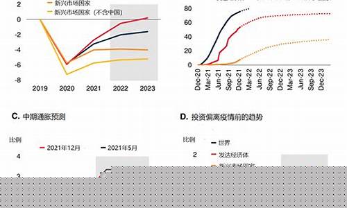 2024年上海疫情，挑战与应对策略