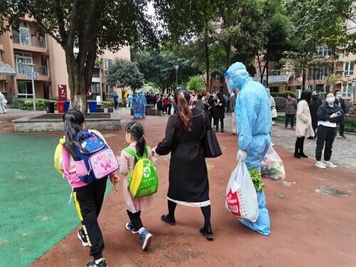 重庆疫情防控成效显著，经济复苏稳步前行