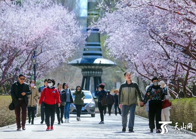 4月2日乌鲁木齐，春日城市魅力与文化探索之旅