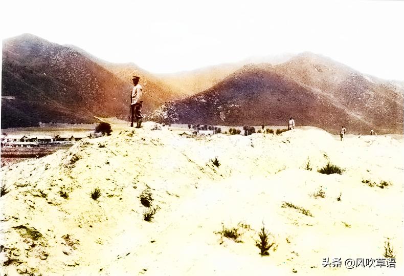 吉林省疫情权威通报，数字哨兵精准防控