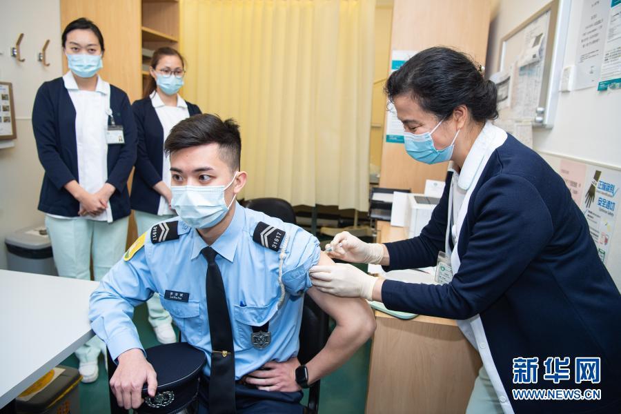 澳门新冠疫情数据全面解析，应对策略与成效评估
