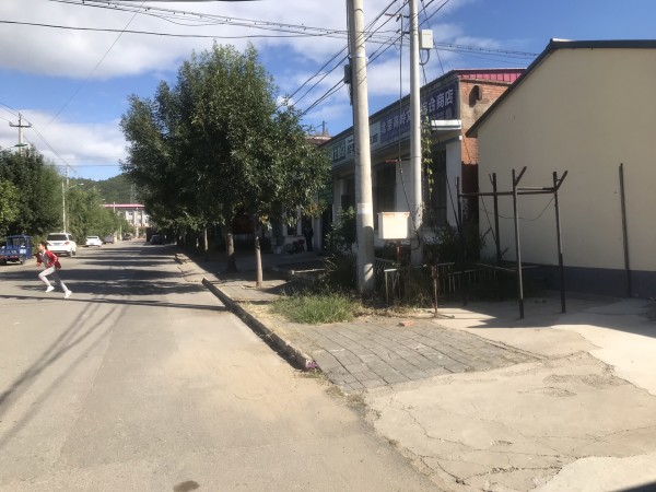 城市变迁中的温馨家园，哈尔滨平房区东平小区