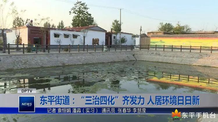 东平村属于哪个街道