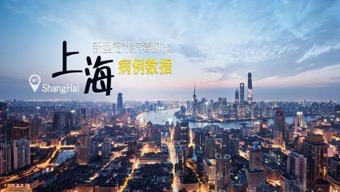 上海23号疫情，城市抗疫展现坚韧与希望