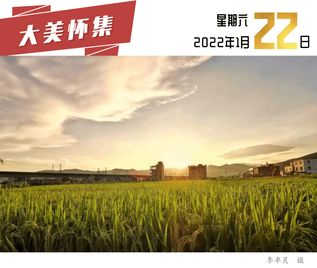 广东台湾疫情防控动态