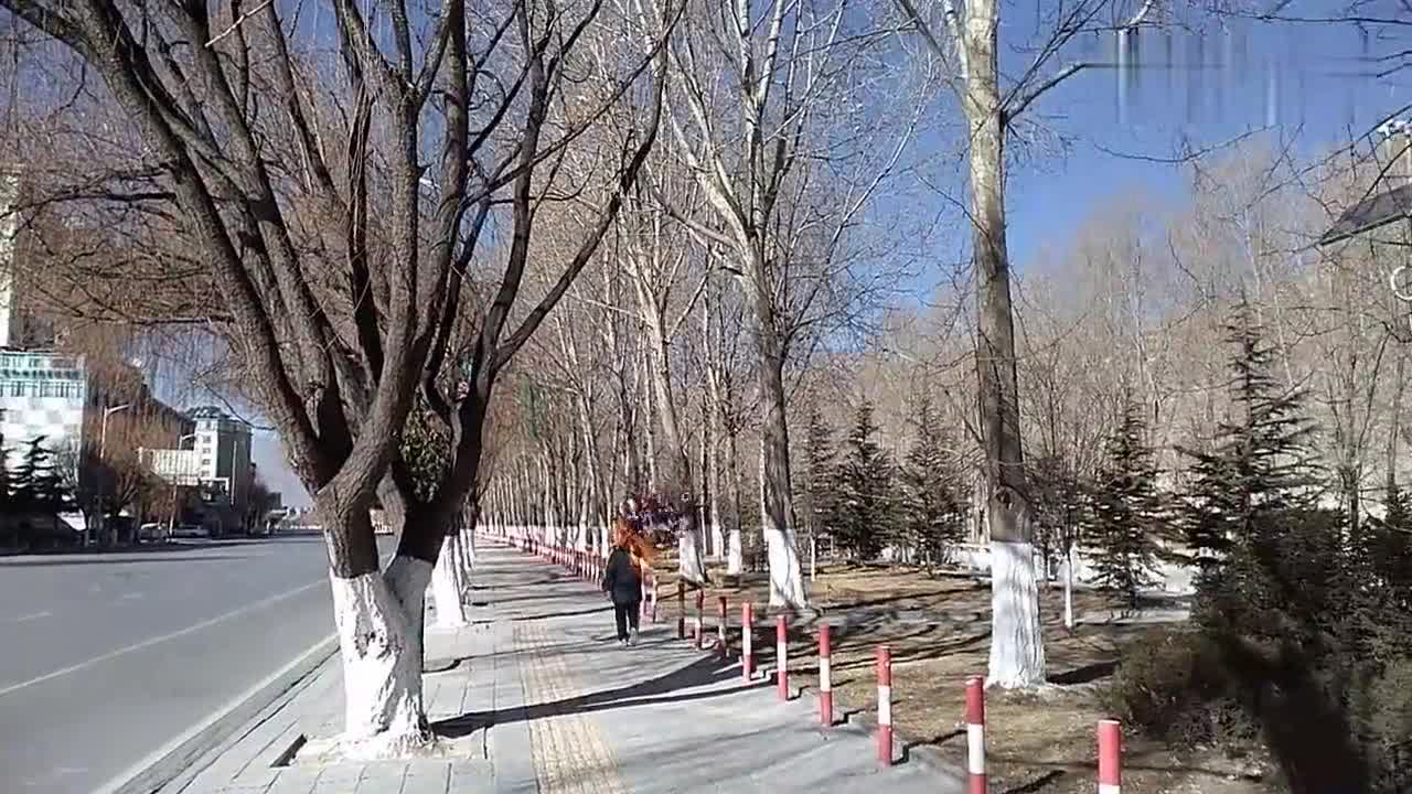 安徽疫情动态与拉萨最新消息综述