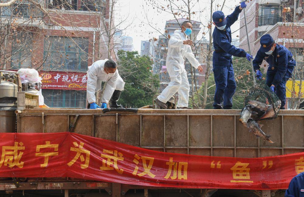 关键时刻的生命线，广东省疫情防控指挥中心电话