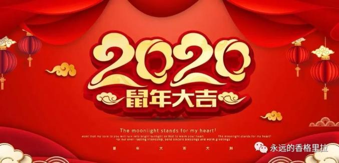 郑州疫情通告，实时掌握动态，科学防控共筑安全防线
