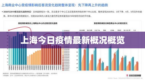 上海新冠疫情现状与防控措施深度解析