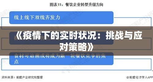 上海疫情挑战与应对策略全面解析