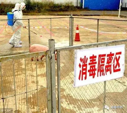 安徽南宁疫情防控挑战与应对策略