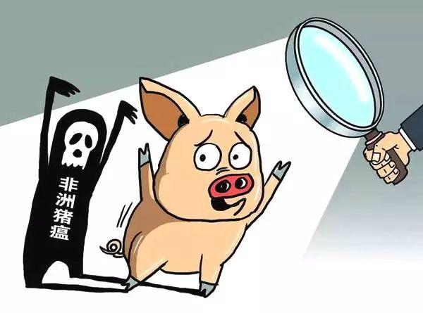 贵州省疫情防控最新文件综述，强化防控措施，保障人民健康